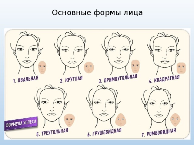 Основные формы лица 