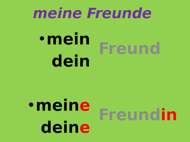 meine Freunde mein Freund  dein    mein e Freund in  dein e  