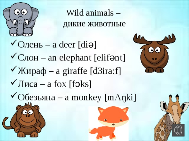 Wild animals –  дикие животные Олень – a deer [diə] Слон – an elephant [elifənt] Жираф – a giraffe [d3ira:f] Лиса – a fox [fɔks] Обезьяна – a monkey [mΛŋki] 