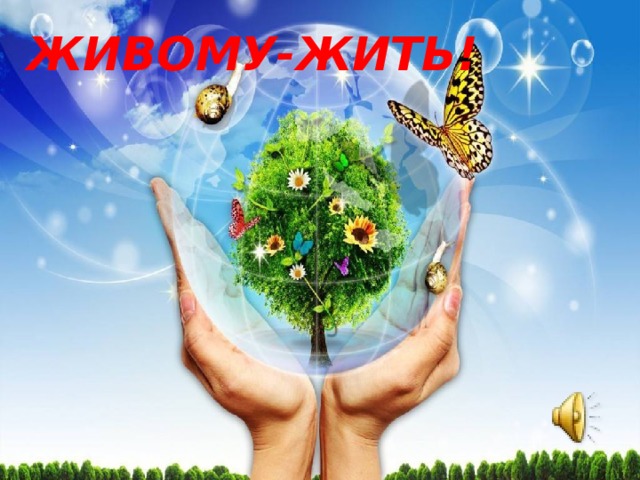 ЖИВОМУ-ЖИТЬ! 