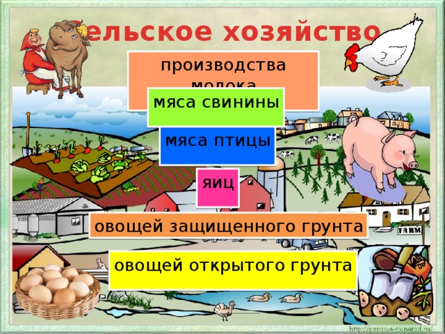 Сельское хозяйство производства молока мяса свинины мяса птицы яиц овощей защищенного грунта овощей открытого грунта 