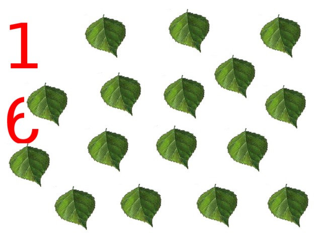 16 