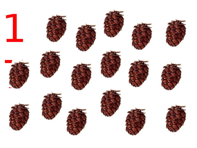 17 