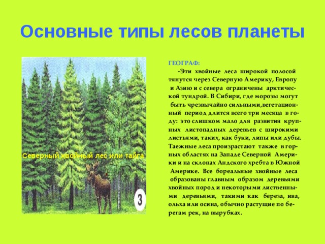Основные типы лесов планеты ГЕОГРАФ:  -Эти хвойные леса широкой полосой тянутся через Северную Америку, Европу  и Азию и с севера ограничены арктичес- кой тундрой. В Сибири, где морозы могут  быть чрезвычайно сильными,вегетацион- ный период длится всего три месяца в го- ду: это слишком мало для развития круп- ных листопадных деревьев с широкими листьями, таких, как буки, липы или дубы. Таежные леса произрастают также в гор- ных областях на Западе Северной Амери- ки и на склонах Андского хребта в Южной  Америке. Все бореальные хвойные леса  образованы главным образом деревьями хвойных пород и некоторыми лиственны- ми деревьями, такими как береза, ива, ольха или осина, обычно растущие по бе- регам рек, на вырубках. Северный хвойный лес или тайга 