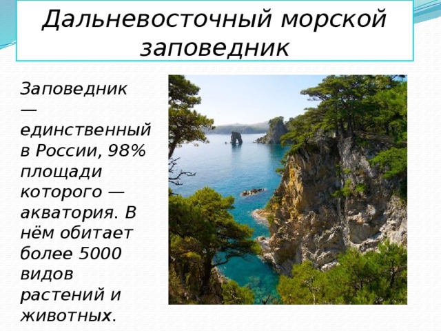Дальневосточный морской заповедник Заповедник — единственный в России, 98% площади которого — акватория. В нём обитает более 5000 видов растений и животных. 