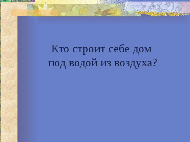 Кто строит себе дом  под водой из воздуха? 