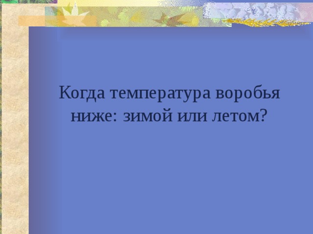 Когда температура воробья ниже: зимой или летом? 