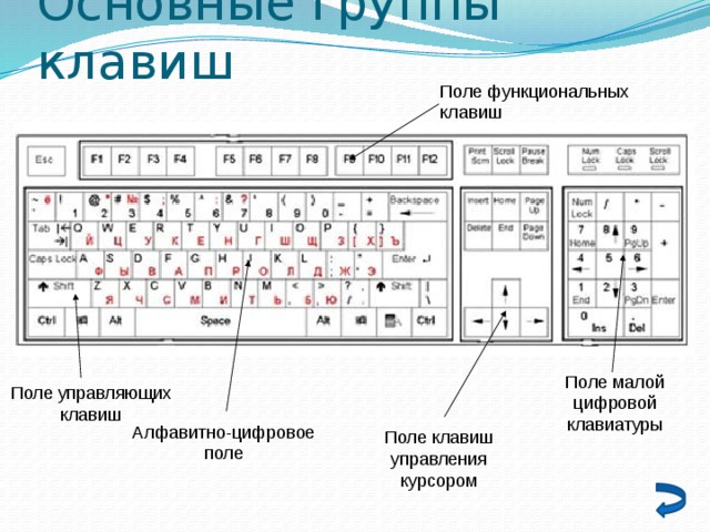 Основные группы клавиш Поле функциональных клавиш Поле малой цифровой клавиатуры Поле управляющих клавиш Алфавитно-цифровое поле Поле клавиш управления курсором 