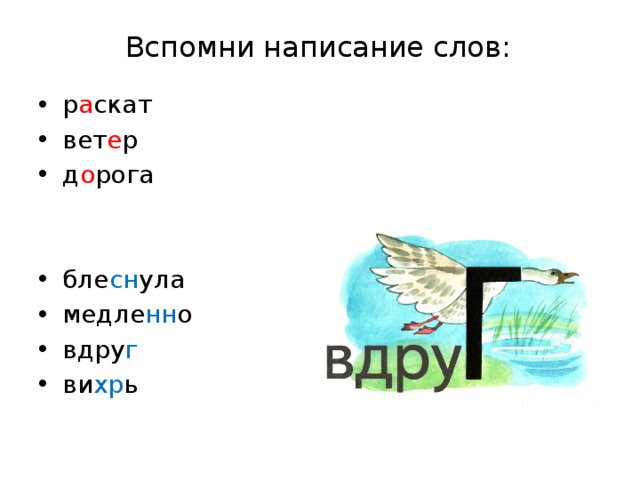 Вспомни написание слов: р а скат вет е р д о рога бле сн ула медле нн о вдру г ви хр ь 