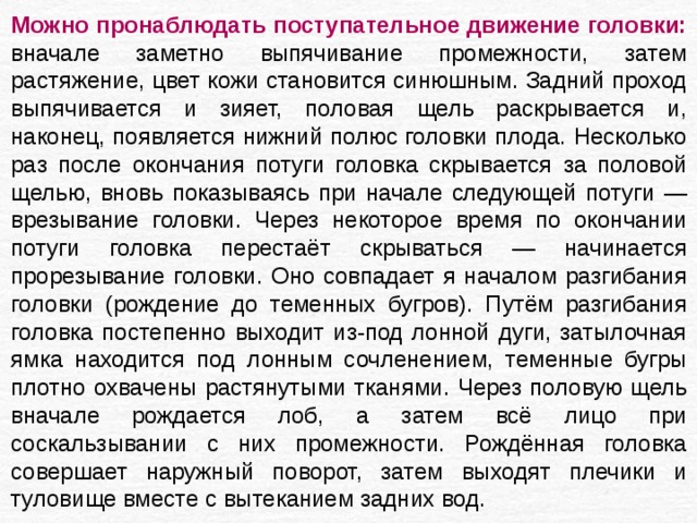 Можно пронаблюдать поступательное движение головки: вначале заметно выпячивание промежности, затем растяжение, цвет кожи становится синюшным. Задний проход выпячивается и зияет, половая щель раскрывается и, наконец, появляется нижний полюс головки плода. Несколько раз после окончания потуги головка скрывается за половой щелью, вновь показываясь при начале следующей потуги — врезывание головки. Через некоторое время по окончании потуги головка перестаёт скрываться — начинается прорезывание головки. Оно совпадает я началом разгибания головки (рождение до теменных бугров). Путём разгибания головка постепенно выходит из-под лонной дуги, затылочная ямка находится под лонным сочленением, теменные бугры плотно охвачены растянутыми тканями. Через половую щель вначале рождается лоб, а затем всё лицо при соскальзывании с них промежности. Рождённая головка совершает наружный поворот, затем выходят плечики и туловище вместе с вытеканием задних вод. 