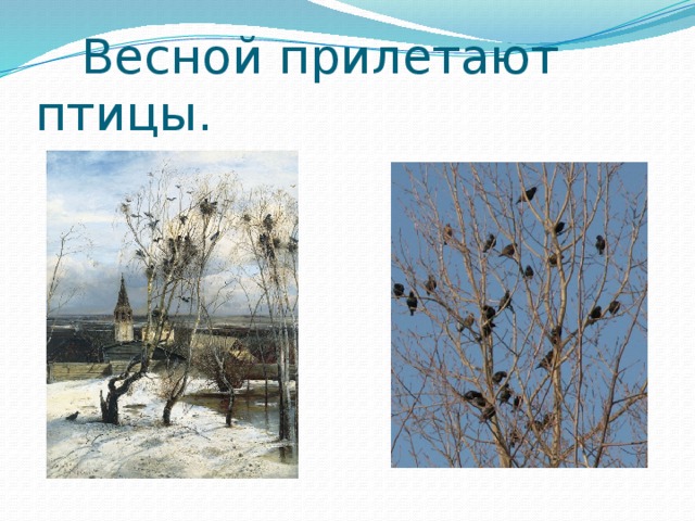  Весной прилетают птицы. 