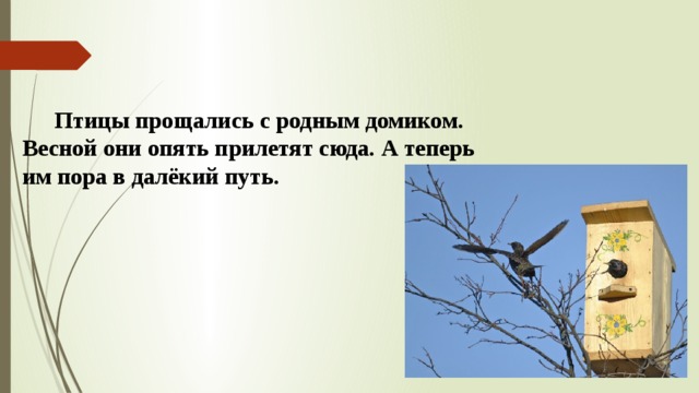  Птицы прощались с родным домиком. Весной они опять прилетят сюда. А теперь им пора в далёкий путь. 