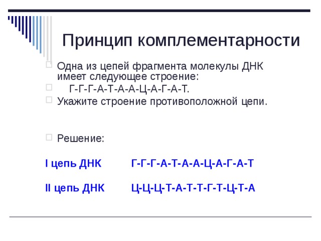 Принцип комплементарности Одна из цепей фрагмента молекулы ДНК имеет следующее строение:  Г-Г-Г-А-Т-А-А-Ц-А-Г-А-Т. Укажите строение противоположной цепи. Решение: I цепь ДНК Г-Г-Г-А-Т-А-А-Ц-А-Г-А-Т  II цепь ДНК Ц-Ц-Ц-Т-А-Т-Т-Г-Т-Ц-Т-А 