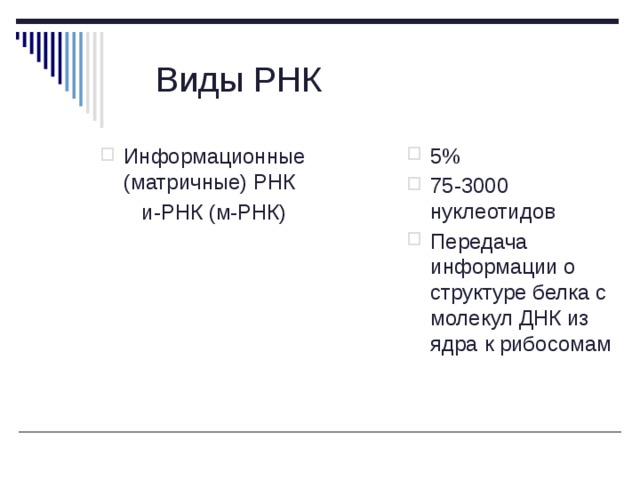 Виды РНК 5% 75-3000 нуклеотидов Передача информации о структуре белка с молекул ДНК из ядра к рибосомам Информационные (матричные) РНК  и-РНК (м-РНК) 