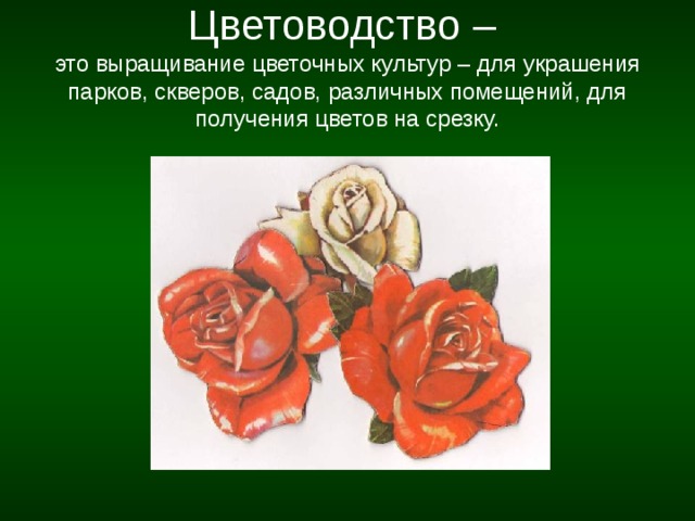 Цветоводство –   это выращивание цветочных культур – для украшения парков, скверов, садов, различных помещений, для получения цветов на срезку. 