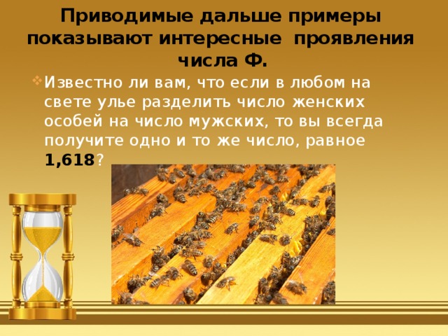 Приводимые дальше примеры показывают интересные проявления числа Ф. Известно ли вам, что если в любом на свете улье разделить число женских особей на число мужских, то вы всегда получите одно и то же число, равное 1,618 ?   