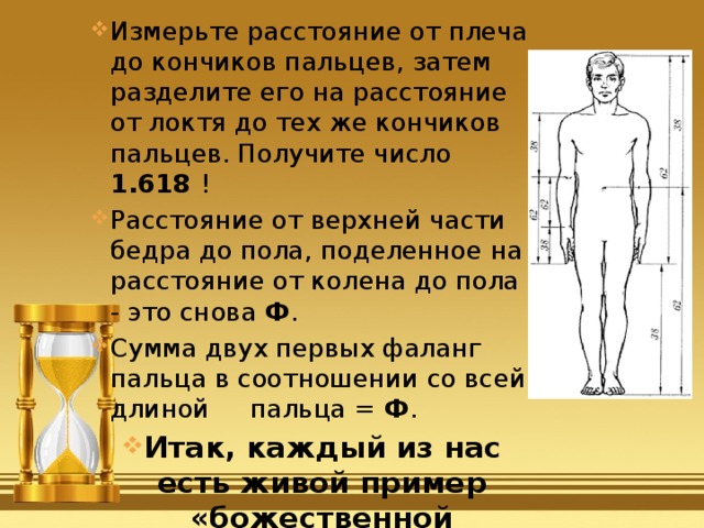 Измерьте расстояние от плеча до кончиков пальцев, затем разделите его на расстояние от локтя до тех же кончиков пальцев. Получите число 1.618 ! Расстояние от верхней части бедра до пола, поделенное на расстояние от колена до пола - это снова Ф . Сумма двух первых фаланг пальца в соотношении со всей длиной пальца = Ф . Итак, каждый из нас есть живой пример «божественной пропорции»! 