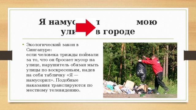 Я намусорил мою улицы в городе Экологический закон в Сингапуре:   если человека трижды поймали за то, что он бросает мусор на улице, нарушитель обязан мыть улицы по воскресеньям, надев на себя табличку «Я — намусорил». Подобные наказания транслируются по местному телевидению. 