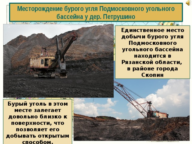 Месторождение бурого угля Подмосковного угольного бассейна у дер. Петрушино Единственное место добычи бурого угля Подмосковного угольного бассейна находится в Рязанской области, в районе города Скопин Бурый уголь в этом месте залегает довольно близко к поверхности, что позволяет его добывать открытым способом, удешевляя процесс добычи. 
