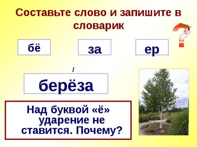 Составьте слово и запишите в словарик за ер бё / берёза Над буквой «ё» ударение не ставится. Почему? 