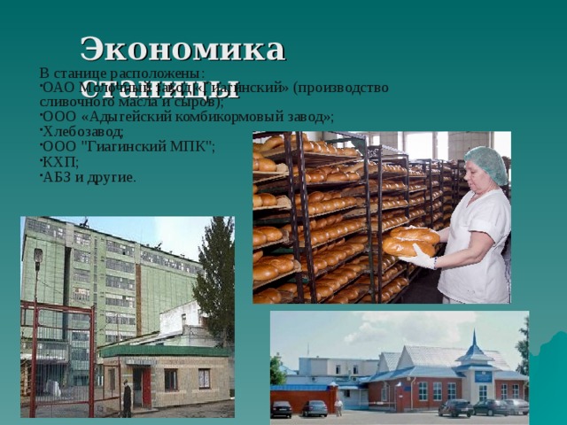 Экономика станицы В станице расположены: ОАО Молочный завод «Гиагинский» (производство сливочного масла и сыров); ООО «Адыгейский комбикормовый завод»; Хлебозавод; ООО 