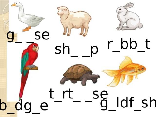 g_ _se r_bb_t sh_ _p t_rt_ _se g_ldf_sh b_dg_e 
