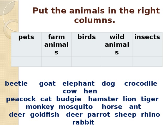   Put the animals in the right columns. pets farm animals birds wild animals insects beetle     goat   elephant   dog    crocodile   cow   hen   peacock  cat  budgie   hamster  lion  tiger  monkey  mosquito    horse   ant    deer  goldfish   deer  parrot  sheep  rhino   rabbit 