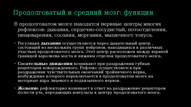Продолговатый и средний мозг: функции В продолговатом мозге находятся нервные центры многих рефлексов: дыхания, сердечно-сосудистый, потоотделения, пищеварения, сосания, моргания, мышечного тонуса. Регуляция  дыхания  осуществляется через дыхательный центр , состоящий из нескольких групп нейронов, находящихся в различных участках продолговатого мозга. Этот центр расположен между верхней границей варолиева моста и нижним отделом продолговатого мозга. Сосательные движения  возникают при раздражении губных рецепторов новорожденного. Рефлекс осуществляется при раздражении чувствительных окончаний тройничного нерва, возбуждение которого переключается в продолговатом мозге на моторные ядра лицевого и подъязычного нервов. Жевание  рефлекторно возникает в ответ на раздражение рецепторов полости рта, передающих импульсы к центру продолговатого мозга. 