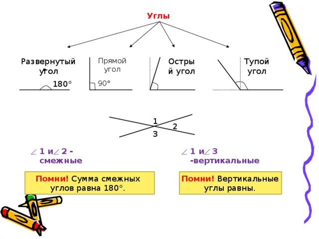 Углы Острый угол Прямой угол Тупой угол Развернутый угол . 180° 90° 1 2 3 1 и 3 -вертикальные 1 и 2 - смежные Помни! Вертикальные углы равны. Помни! Сумма смежных углов равна 180°. 
