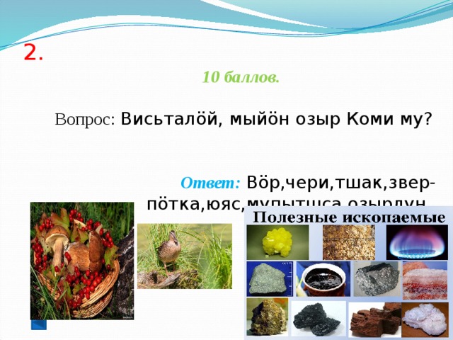2.    10 баллов.   Вопрос: Висьталöй, мыйöн озыр Коми му?  Ответ: Вöр,чери,тшак,звер-пöтка,юяс,мупытшса озырлун.  