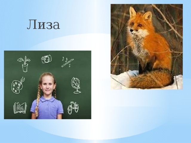 Лиза лиса 