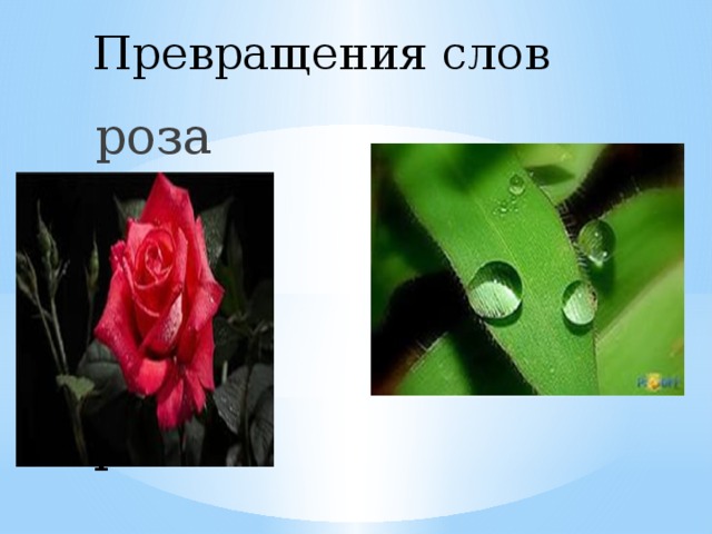 Превращения слов           роса        роза 