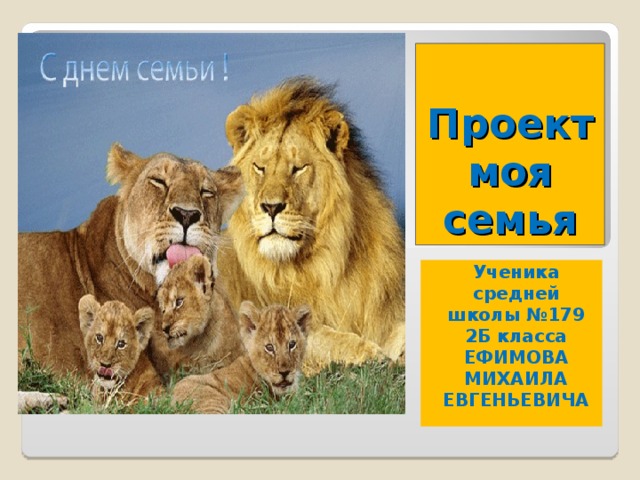 Проект моя семья Ученика средней школы №179 2Б класса ЕФИМОВА МИХАИЛА ЕВГЕНЬЕВИЧА 