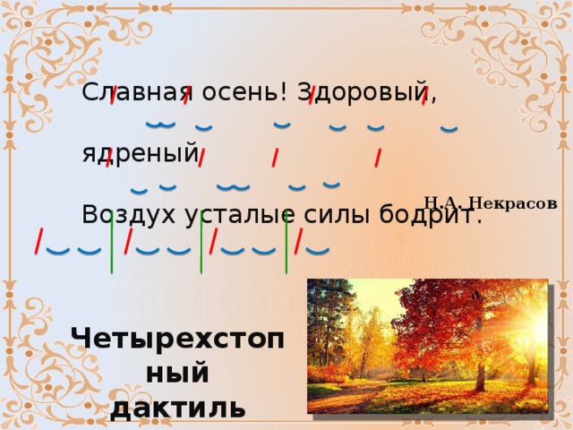 Славная осень! Здоровый, ядреный Воздух усталые силы бодрит. Н.А. Некрасов Четырехстопный дактиль 