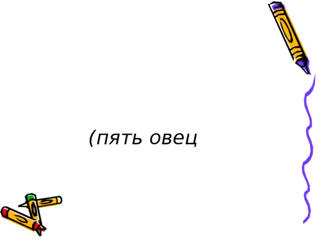 (пять овец 