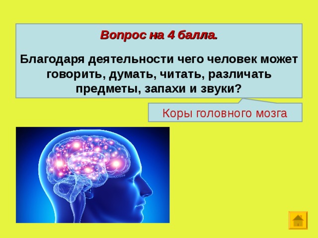Вопрос на 4 балла.  Благодаря деятельности чего человек может говорить, думать, читать, различать предметы, запахи и звуки? Коры головного мозга  