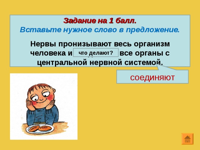 Задание на 1 балл. Вставьте нужное слово в предложение.  Нервы пронизывают весь организм человека и соединяют все органы с центральной нервной системой. что делают? соединяют 12 