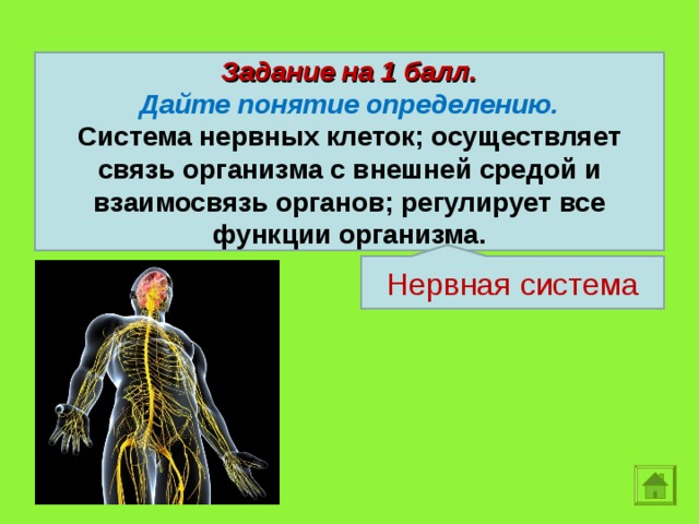 Задание на 1 балл. Дайте понятие определению. Система нервных клеток; осуществляет связь организма с внешней средой и взаимосвязь органов; регулирует все функции организма. Нервная система  