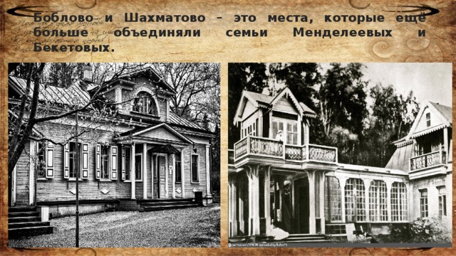 Боблово и Шахматово – это места, которые ещё больше объединяли семьи Менделеевых и Бекетовых.    