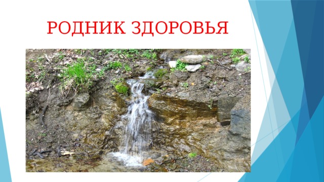  РОДНИК ЗДОРОВЬЯ 