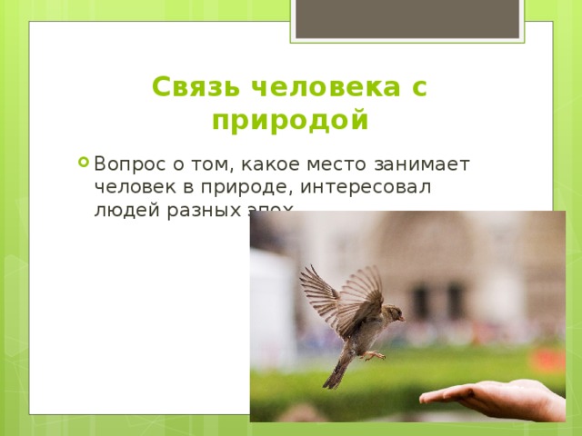 Связь человека с природой Вопрос о том, какое место занимает человек в природе, интересовал людей разных эпох. 
