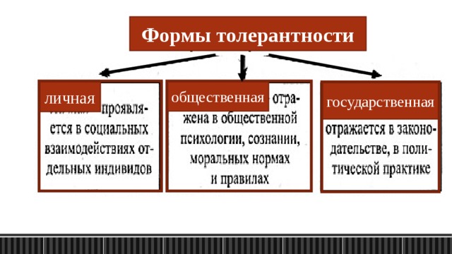 Формы толерантности общественная личная государственная 