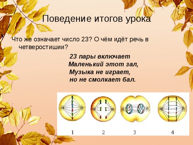 Поведение итогов урока Что же означает число 23? О чём идёт речь в четверостишии?  23 пары включает  Маленький этот зал,  Музыка не играет,  но не смолкает бал. 