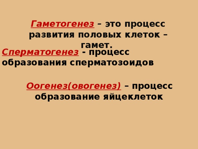 Гаметогенез – это процесс развития половых клеток – гамет. Сперматогенез - процесс образования сперматозоидов  Оогенез(овогенез) – процесс образование яйцеклеток 