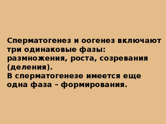 Сперматогенез и оогенез включают три одинаковые фазы: размножения, роста, созревания (деления). В сперматогенезе имеется еще одна фаза – формирования. 
