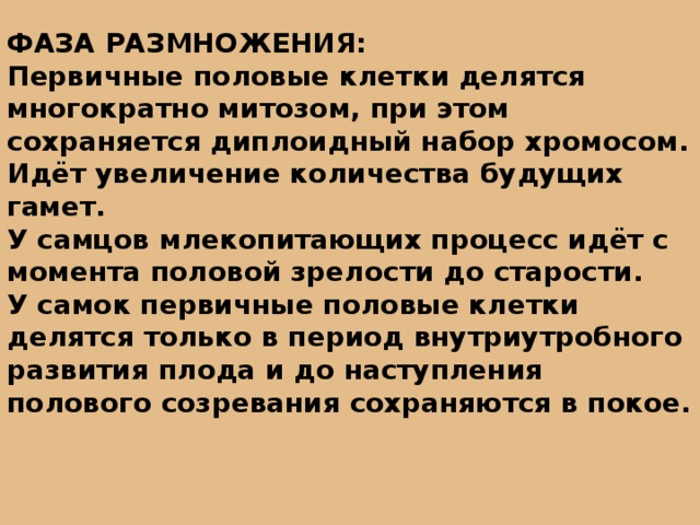 ФАЗА РАЗМНОЖЕНИЯ: Первичные половые клетки делятся многократно митозом, при этом сохраняется диплоидный набор хромосом. Идёт увеличение количества будущих гамет. У самцов млекопитающих процесс идёт с момента половой зрелости до старости. У самок первичные половые клетки делятся только в период внутриутробного развития плода и до наступления полового созревания сохраняются в покое. 