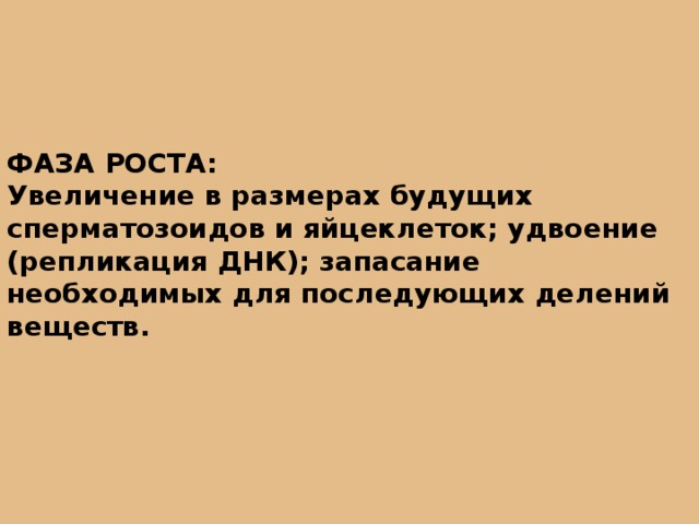 ФАЗА РОСТА: Увеличение в размерах будущих сперматозоидов и яйцеклеток; удвоение (репликация ДНК); запасание необходимых для последующих делений веществ. 