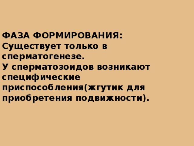 ФАЗА ФОРМИРОВАНИЯ: Существует только в сперматогенезе. У сперматозоидов возникают специфические приспособления(жгутик для приобретения подвижности). 