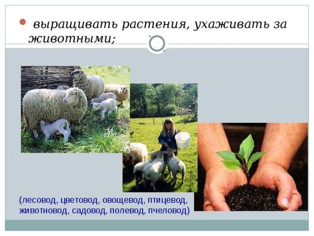  выращивать растения, ухаживать за животными;  (лесовод, цветовод, овощевод, птицевод, животновод, садовод, полевод, пчеловод) 