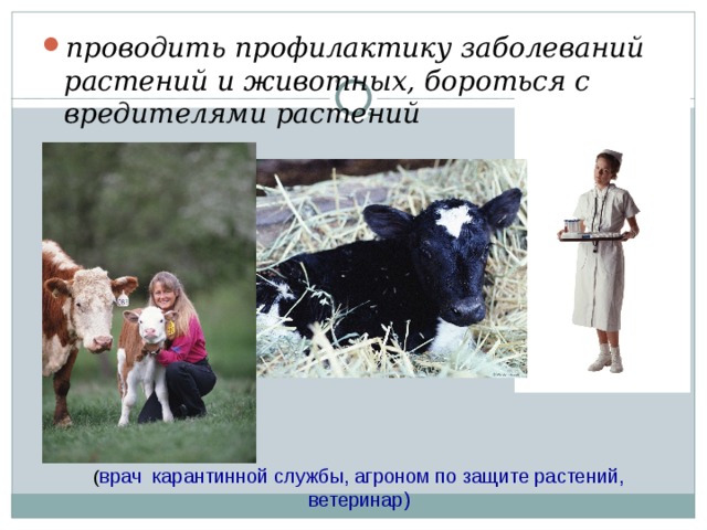 проводить профилактику заболеваний растений и животных, бороться с вредителями растений ( врач карантинной службы, агроном по защите растений, ветеринар) 